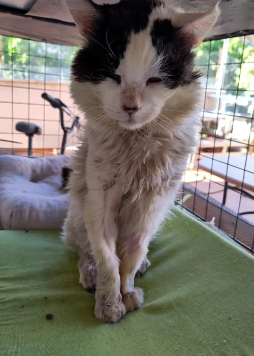 456922874 10161575155282094 519157992419424396