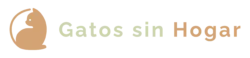 Gatos sin hogar – Gatos en adopción -Málaga, Andalucía