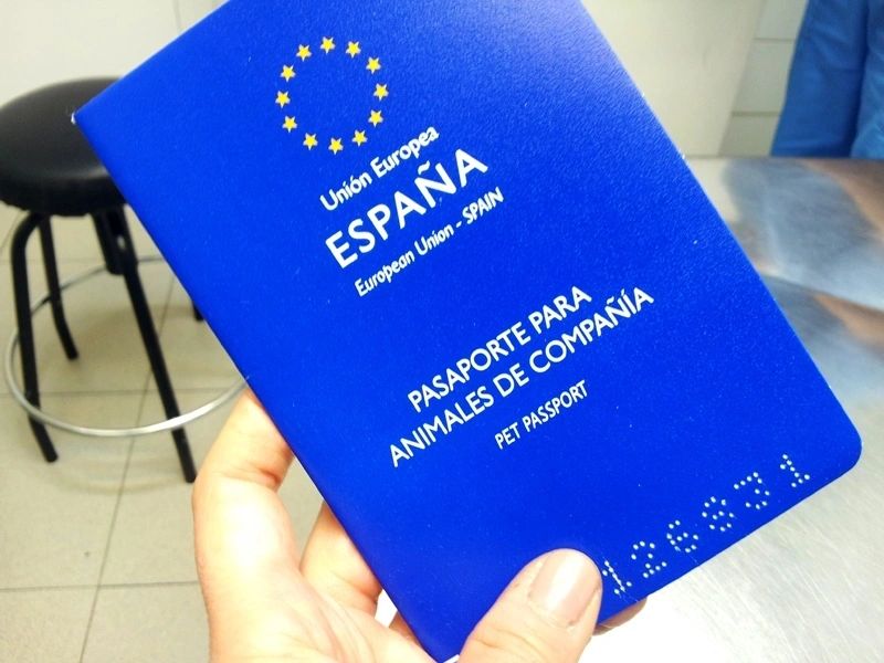 Rsw1280 5bfbb7fb 0e43 462d Af3a Cff890de8205