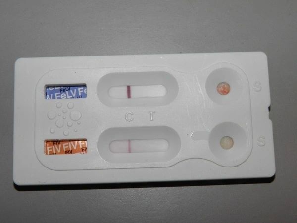 Rsw1280 Eee9f336 04be 4f22 94f7 E771a7b9d261