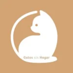 Gatos Sin Hogar